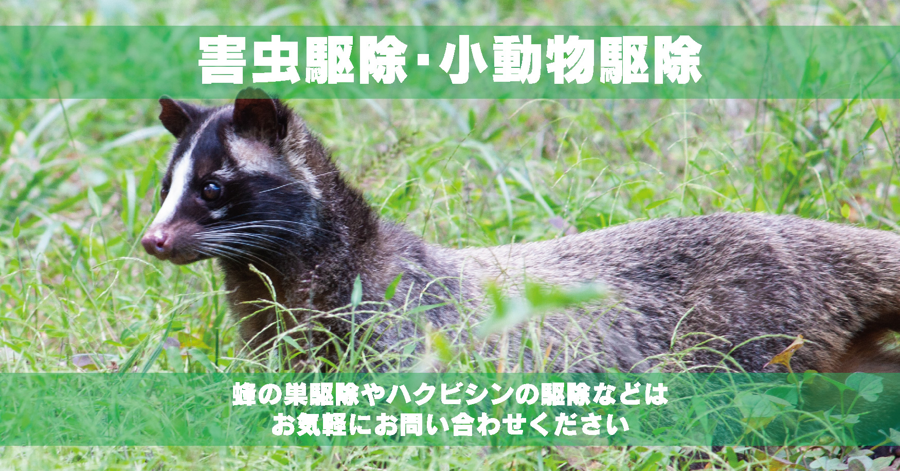 害虫駆除・小動物駆除